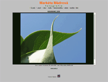 Tablet Screenshot of marketa.madr.cz